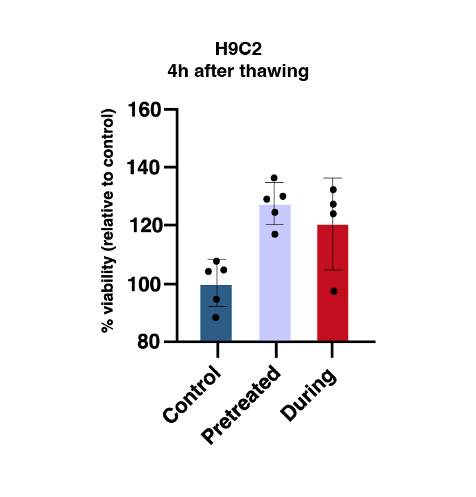 Rokepie H9C2 4h after thawing
