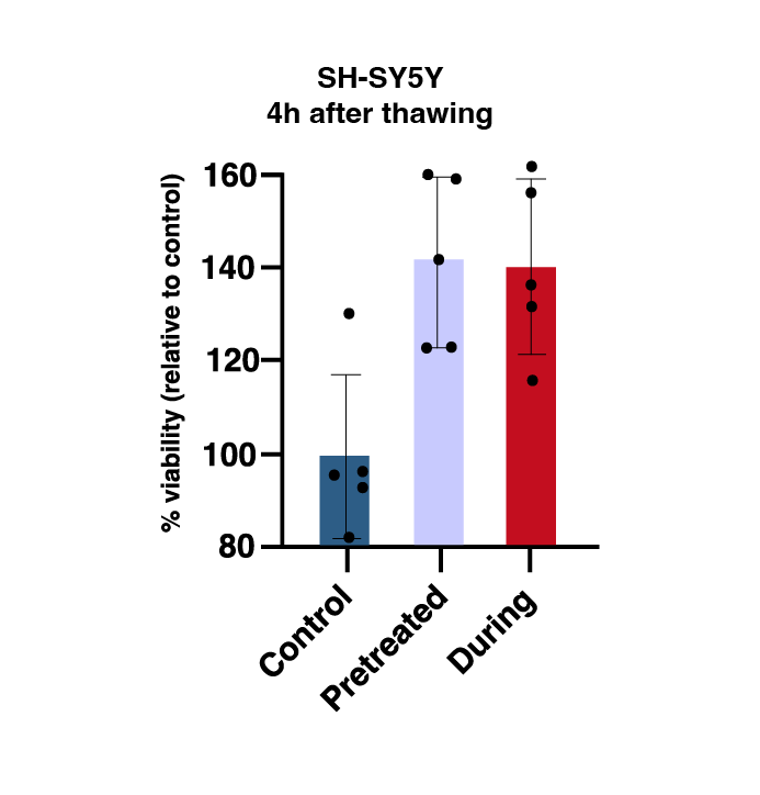 Rokepie SH-SY5Y 4h after thawing